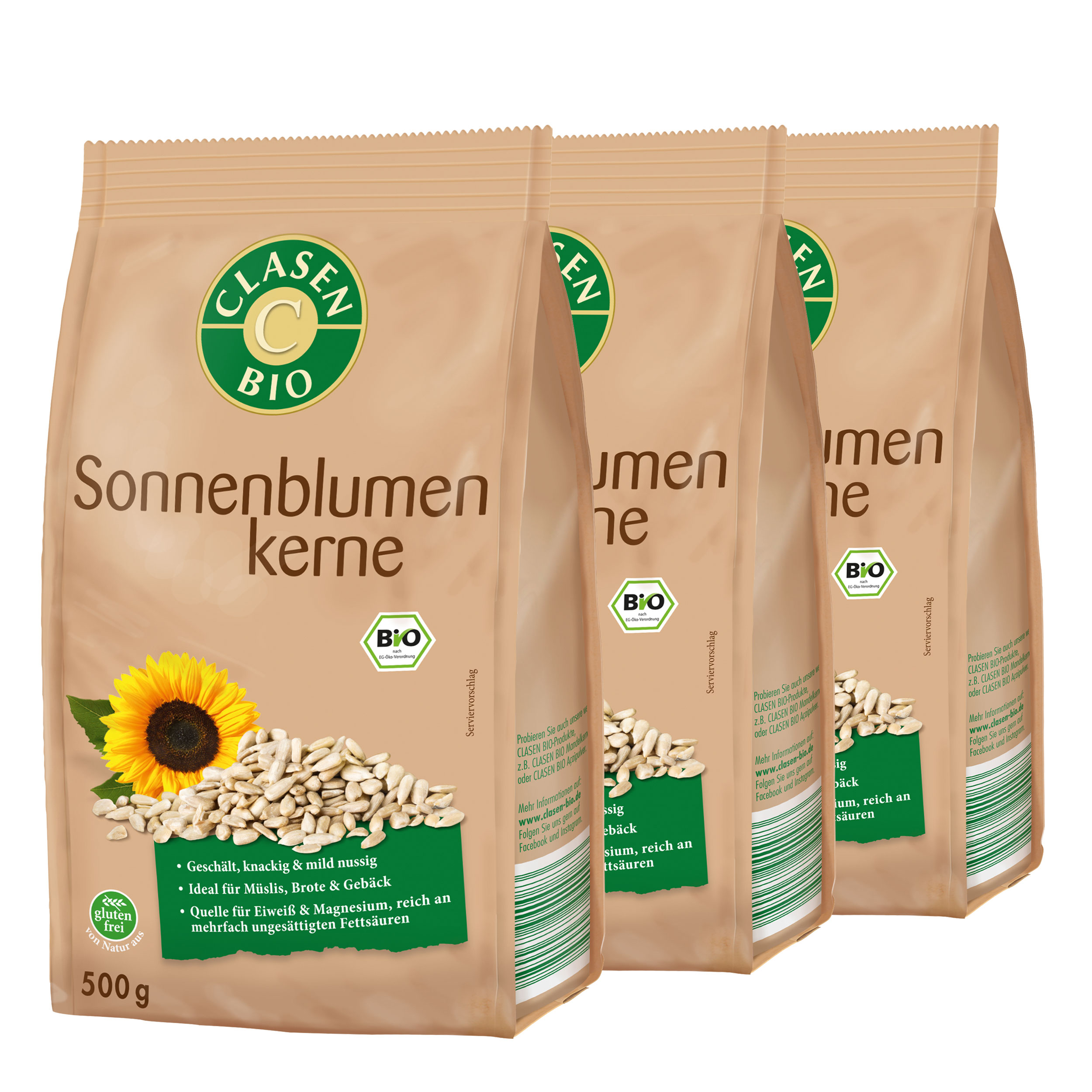 Bio Sonnenblumenkerne